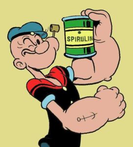 Popeye con un bote de spirulina