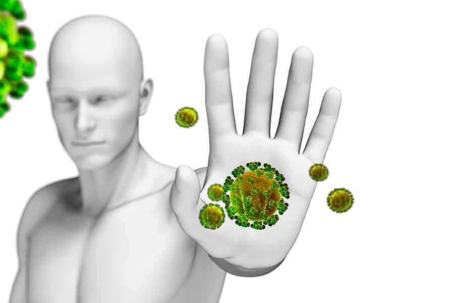 Espirulina para reforzar el sistema inmunitario