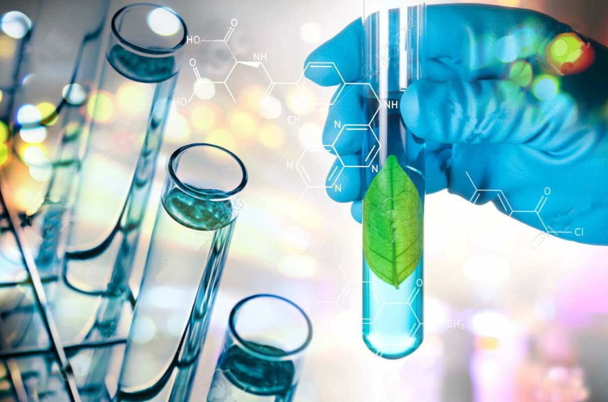 espirulina propiedades estudios científicos