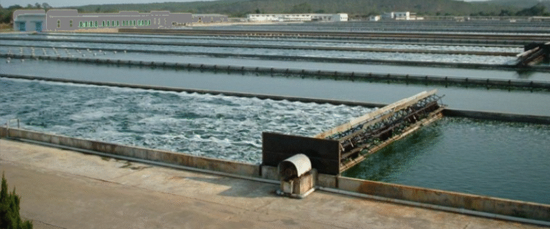 granja de espirulina industrial